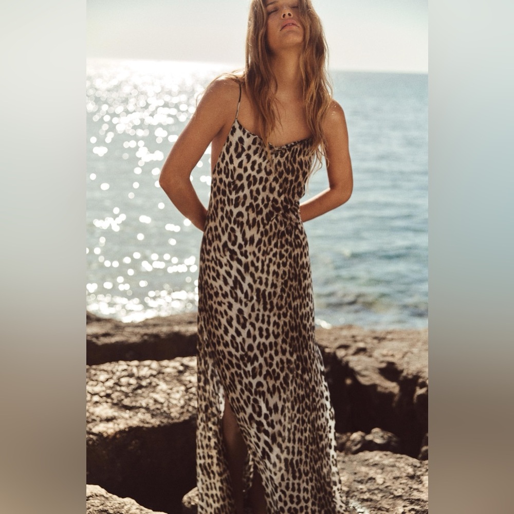 Zara Leopard-Print Slip Maxi Dress in Brown and Black